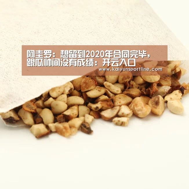 开云体验