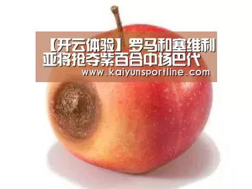 开云体验