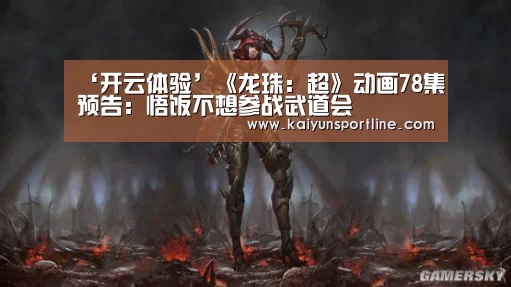 开云体验