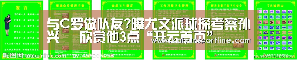 与C罗做队友?曝尤文派球探考察孙兴慜 欣赏他3点“开云首页”(图2) 开云赛事