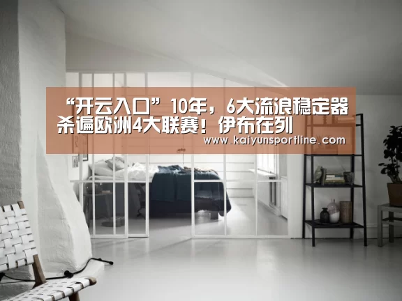 “开云入口”10年,6大流浪稳定器杀遍欧洲4大联赛!伊布在列(图1) 开云体验