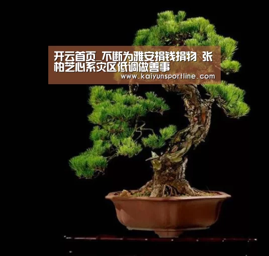 开云首页_不断为雅安捐钱捐物 张柏芝心系灾区低调做善事(图2) 开云入口