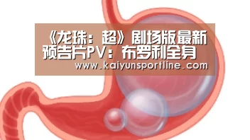 开云入口