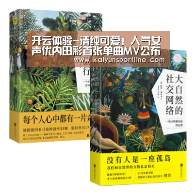 开云体验